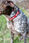 Large Kenyan Beaded Dog Collar