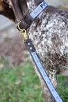 Large Kenyan Beaded Dog Leash