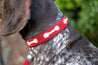 Large Kenyan Beaded Dog Collar