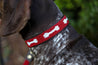 Large Kenyan Beaded Dog Collar