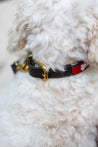 Small Kenyan Beaded Dog Collar